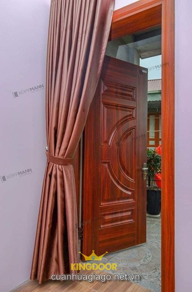 Cửa thép vân gỗ 1 cánh